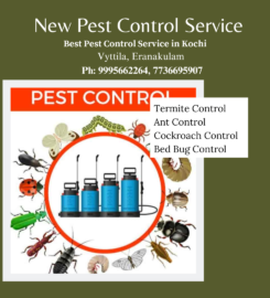 New Pest Control Service Kochi
